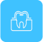 Periodoncia