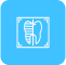 Radiología Oral