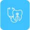 Rehabilitacón Oral